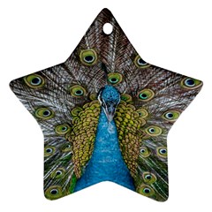 Peacock-feathers2 Star Ornament (two Sides) by nateshop