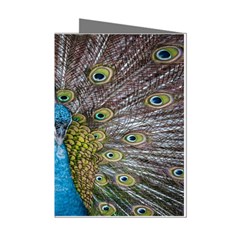 Peacock-feathers2 Mini Greeting Cards (pkg Of 8) by nateshop