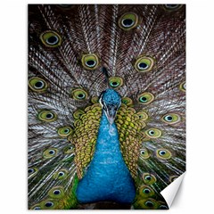 Peacock-feathers2 Canvas 18  X 24  by nateshop