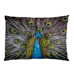 Peacock-feathers2 Pillow Case by nateshop