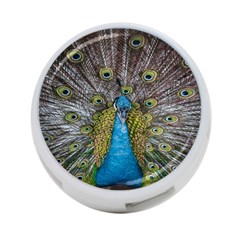 Peacock-feathers2 4-port Usb Hub (one Side) by nateshop