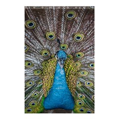 Peacock-feathers2 Shower Curtain 48  x 72  (Small) 