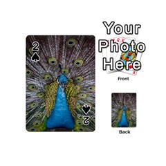 Peacock-feathers2 Playing Cards 54 Designs (mini) by nateshop