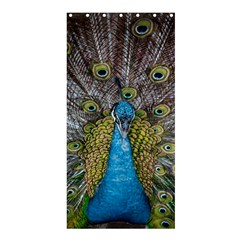 Peacock-feathers2 Shower Curtain 36  X 72  (stall)  by nateshop