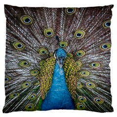 Peacock-feathers2 Large Cushion Case (two Sides) by nateshop