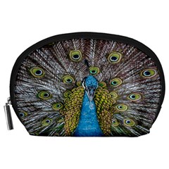 Peacock-feathers2 Accessory Pouch (large) by nateshop