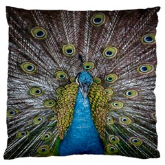 Peacock-feathers2 Large Premium Plush Fleece Cushion Case (one Side) by nateshop