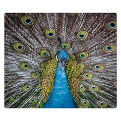 Peacock-feathers2 Two Sides Premium Plush Fleece Blanket (small) by nateshop