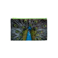 Peacock-feathers2 Cosmetic Bag (xs) by nateshop