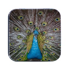 Peacock-feathers2 Square Metal Box (black) by nateshop