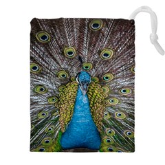 Peacock-feathers2 Drawstring Pouch (4XL)