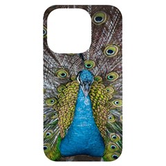 Peacock-feathers2 Iphone 14 Pro Black Uv Print Case by nateshop