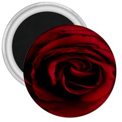 Rose Maroon 3  Magnets by nateshop