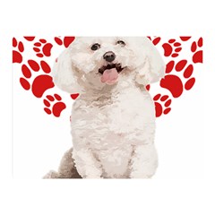 Bichon Frise Gift T- Shirt Cool Bichon Frise Valentine Heart Paw Bichon Frise Dog Lover Valentine Co Yoga Reflexion Pose T- Shirtyoga Reflexion Pose T- Shirt Two Sides Premium Plush Fleece Blanket (mi by hizuto