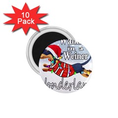 Weiner T- Shirt Walking In A Weiner Wonderland T- Shirt (1) Weiner T- Shirt Walking In A Weiner Wonderland T- Shirt 1.75  Magnets (10 pack) 