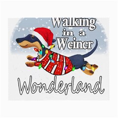 Weiner T- Shirt Walking In A Weiner Wonderland T- Shirt (1) Weiner T- Shirt Walking In A Weiner Wonderland T- Shirt Small Glasses Cloth (2 Sides)