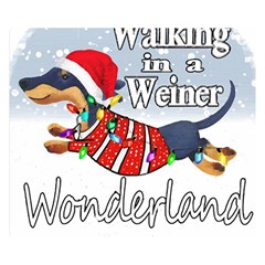 Weiner T- Shirt Walking In A Weiner Wonderland T- Shirt (1) Weiner T- Shirt Walking In A Weiner Wonderland T- Shirt Two Sides Premium Plush Fleece Blanket (Small)