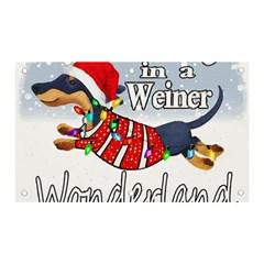 Weiner T- Shirt Walking In A Weiner Wonderland T- Shirt (1) Weiner T- Shirt Walking In A Weiner Wonderland T- Shirt Banner and Sign 5  x 3 