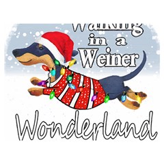 Weiner T- Shirt Walking In A Weiner Wonderland T- Shirt (1) Weiner T- Shirt Walking In A Weiner Wonderland T- Shirt Premium Plush Fleece Blanket (Extra Small)