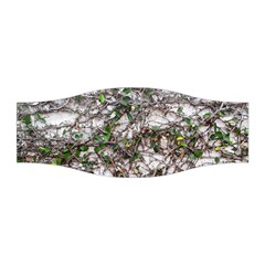 Climbing Plant At Outdoor Wall Stretchable Headband