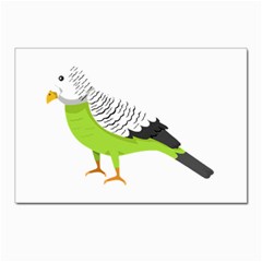 Budgerigar T- Shirt White Look Calm Budgerigar 05 T- Shirt Postcards 5  X 7  (pkg Of 10) by EnriqueJohnson