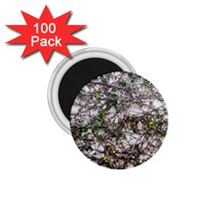 Climbing Plant At Outdoor Wall 1 75  Magnets (100 Pack)  by dflcprintsclothing
