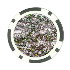 Climbing Plant At Outdoor Wall Poker Chip Card Guard by dflcprintsclothing