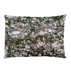 Climbing Plant At Outdoor Wall Pillow Case by dflcprintsclothing