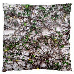 Climbing Plant At Outdoor Wall Standard Premium Plush Fleece Cushion Case (two Sides) by dflcprintsclothing