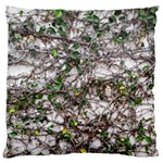 Climbing Plant At Outdoor Wall Standard Premium Plush Fleece Cushion Case (Two Sides) Back