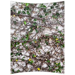 Climbing Plant At Outdoor Wall Back Support Cushion by dflcprintsclothing