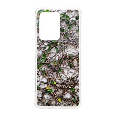 Climbing Plant At Outdoor Wall Samsung Galaxy S20 Ultra 6 9 Inch Tpu Uv Case by dflcprintsclothing