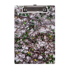 Climbing Plant At Outdoor Wall A5 Acrylic Clipboard