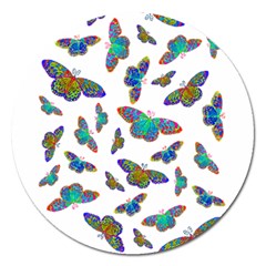 Butterflies T- Shirt Colorful Butterflies In Rainbow Colors T- Shirt Magnet 5  (Round)