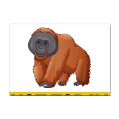 Orangutan T-shirtnope Not Today Orangutan 16 T-shirt Sticker A4 (100 Pack) by EnriqueJohnson
