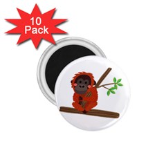 Orangutan T-shirtsteal Your Heart Orangutan 14 T-shirt 1 75  Magnets (10 Pack)  by EnriqueJohnson