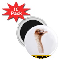 Ostrich T-shirtnope Not Today Ostrich 47 T-shirt 1 75  Magnets (10 Pack) 