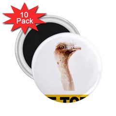 Ostrich T-shirtnope Not Today Ostrich 47 T-shirt 2 25  Magnets (10 Pack)  by EnriqueJohnson