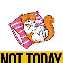 Persian Cat T-shirtnope Not Today Persian Cat 20 T-shirt Play Mat (square) by EnriqueJohnson