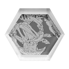 Fossil T- Shirt Armadillo Fossil X Inktober 22 - Black Design T- Shirt Hexagon Wood Jewelry Box by ZUXUMI