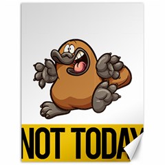 Platypus T-shirtnope Not Today Platypus 37 T-shirt Canvas 12  X 16  by EnriqueJohnson