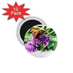 Butterfly T- Shirt Butterfly & Buddleia T- Shirt 1 75  Magnets (10 Pack)  by JamesGoode