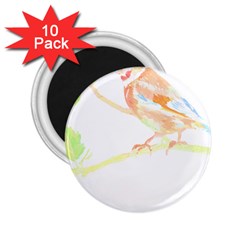 Bird Lover T- Shirtbird T- Shirt (12) 2 25  Magnets (10 Pack) 