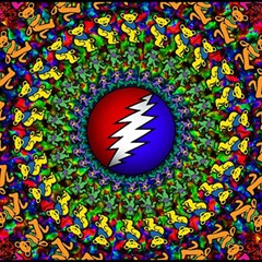 Grateful Dead Play Mat (Rectangle)