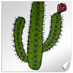 Cactus Desert Plants Rose Canvas 12  X 12  by uniart180623