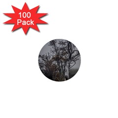 Nature s Resilience: Tierra Del Fuego Forest, Argentina 1  Mini Buttons (100 Pack)  by dflcprintsclothing