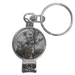 Nature s Resilience: Tierra Del Fuego Forest, Argentina Nail Clippers Key Chain by dflcprintsclothing