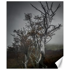 Nature s Resilience: Tierra Del Fuego Forest, Argentina Canvas 8  X 10  by dflcprintsclothing