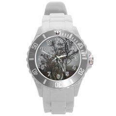 Nature s Resilience: Tierra Del Fuego Forest, Argentina Round Plastic Sport Watch (l) by dflcprintsclothing
