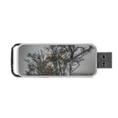 Nature s Resilience: Tierra Del Fuego Forest, Argentina Portable Usb Flash (two Sides) by dflcprintsclothing